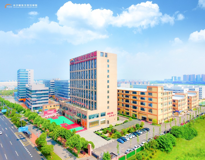 職業(yè)教育