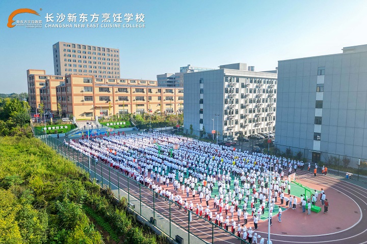 報(bào)名指南